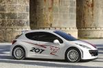 Peugeot 207 RCup 2006 года